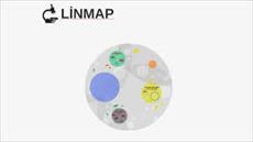 LINMAP